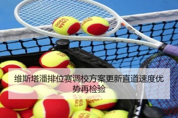 维斯塔潘排位赛调校方案更新直道速度优势再检验 | milansport.com
